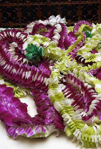 Come Party With Me: Technicolor Luau — The Look
