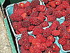 What Are Tayberries?