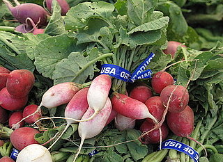 Guide to Radishes