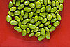 Poll: What's Your Favorite Bean?