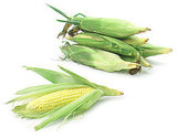 Expert Recipe For Corn Pudding Expert Recipe For Corn Pudding