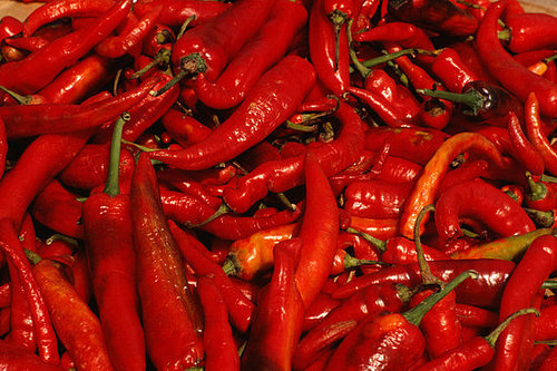 Yummy Links: From Chile Peppers to Tyler Florence