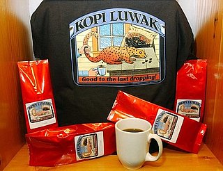 Would You Drink Kopi Luwak Coffee?