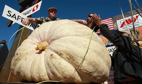National Food Festivals and Food Events, Oct. 13-20, 2009
