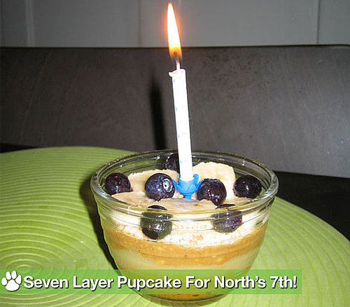 PetSugar's Original Seven Layer Pupcake Recipe