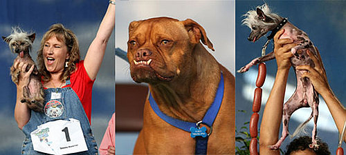 Weigh In: Who Was the Ugliest of Them All?