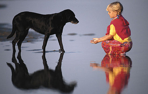 PetSugar's Weekly Recap Quiz 2009-07-18 03:00:46