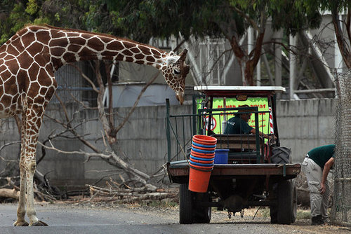 Meet This Record Breaking Zoo Babe! Meet This Record Breaking Zoo Babe!