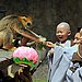 Monkey See, Monkey Do