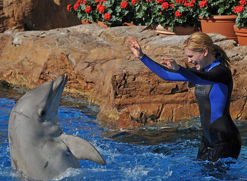 Photos of Anna Paquin and Steven Moyer at Sea World in San Diego Photos of Anna Paquin and Steven Moyer at Sea World in San Diego