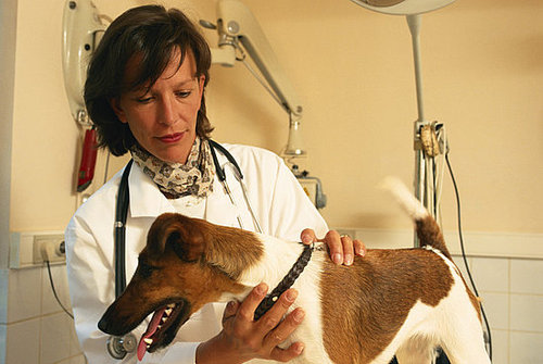 2. Make a Doctor's Appointment 2. Make a Doctor's Appointment