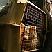 4. Check the Crate