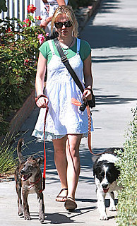 Newly Engaged Anna Paquin Seen Walking Her Dogs in Santa Monica