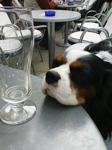 I Drank Thiiiiiis Much I Drank Thiiiiiis Much