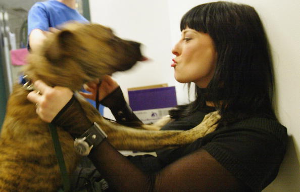 Big Dogs Need Love, Too Big Dogs Need Love, Too