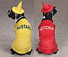 Condiment Costumes: Spoiled Sweet or Spoiled Rotten?