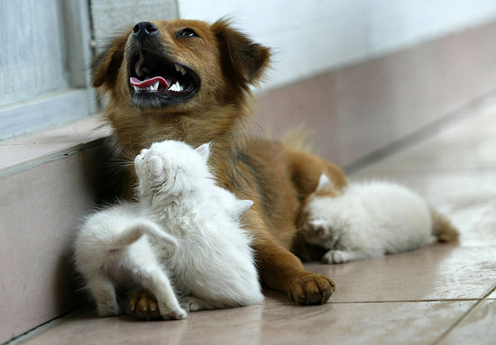 Playtime?