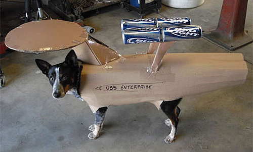 Doggie Wears USS Enterprise With Beer Can Boosters: In the LINK of an Eye!