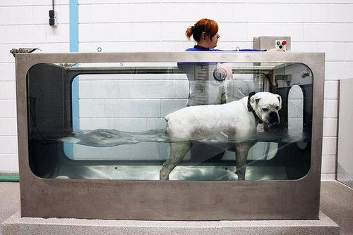 Hydrotherapy Hydrotherapy