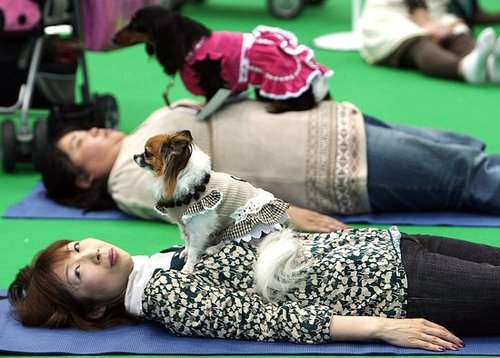 Yoga Yoga