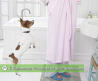 6 Things Found in Your Bathroom That Can Kill Your Dog!