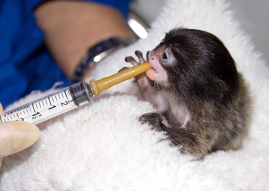 Mmm, Dinnertime