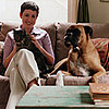Who Senses It Better: Cats, Dogs, or People?