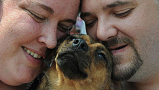 9 Hero Dogs Who Deserve a Bone: In the LINK of an Eye!