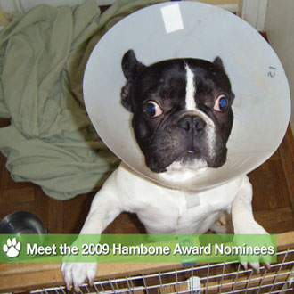 What Happened on PetSugar This Week (8/30-9/4)? What Happened on PetSugar This Week (8/30-9/4)?