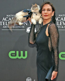 Stacy Brings "Kitty" As Her Red Carpet Date To the 2009 Daytime Emmys Stacy Brings "Kitty" As Her Red Carpet Date To the 2009 Daytime Emmys