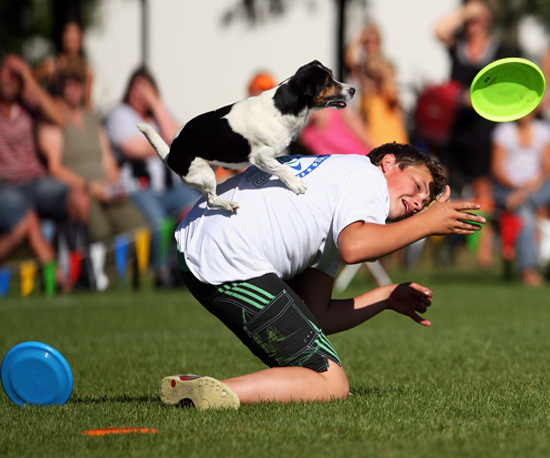 Follow Frisbee Fetching, Freestylin' Furry Friends! Follow Frisbee Fetching, Freestylin' Furry Friends!