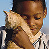 What Do You Know About Purring?