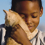 What Do You Know About Purring? What Do You Know About Purring?