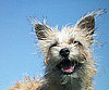 Pet Pic of the Day: Dottie Is Darn Cute