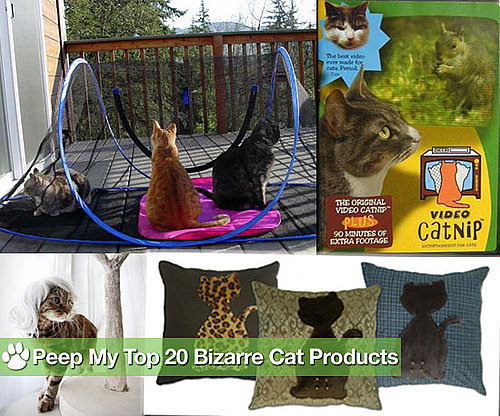 Is Your Kitty's Life Complete Without These Kooky Products?