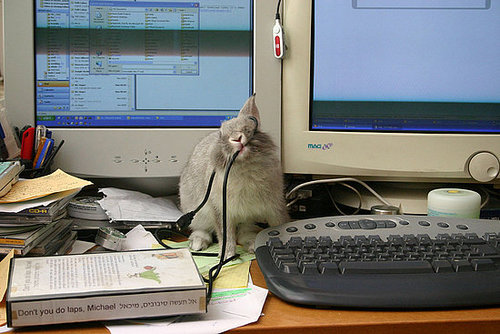 Stop Working Stop Working