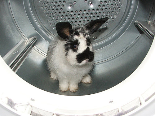 Don't Tumble Dry Low Don't Tumble Dry Low