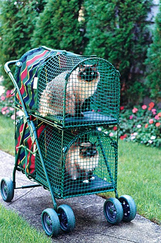 Double Decker KittyWalk Pet Stroller Double Decker KittyWalk Pet Stroller