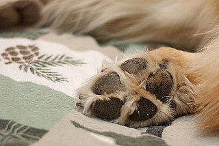 Bottom's Up: Tweeze and Trim Beneath the Feet
