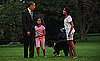 Even More Bo! First Dog Frolics With First Family