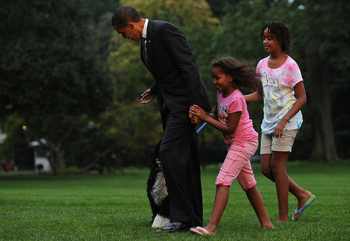 Even More Bo! First Dog Frolics With First Family Even More Bo! First Dog Frolics With First Family