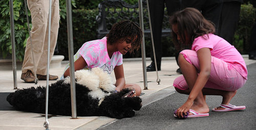 Even More Bo! First Dog Frolics With First Family Even More Bo! First Dog Frolics With First Family