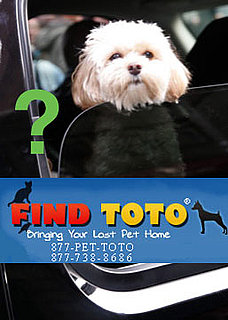 How "FindToto" Works . . . and Will It Work For Jess?