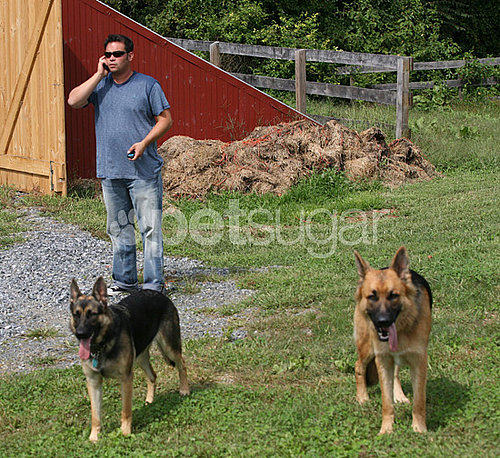 Jon Gosselin's Last Day With Shooka and Nala Jon Gosselin's Last Day With Shooka and Nala
