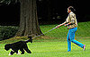 Michelle Obama Walking Bo on the South Lawn