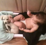 Naptime Foiled, Baby Plays Footsie With Puppy's Face