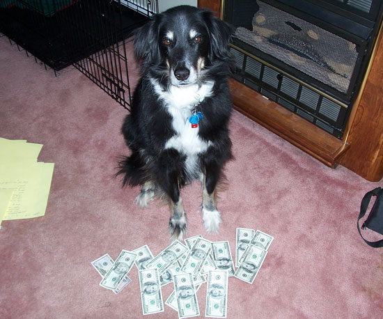 Adoption Fee and/or Donation 