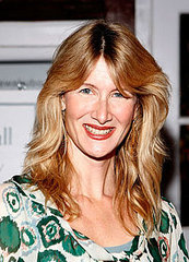 Laura Dern to Star in Comedy Series Called Enlightened For HBO Laura Dern to Star in Comedy Series Called Enlightened For HBO