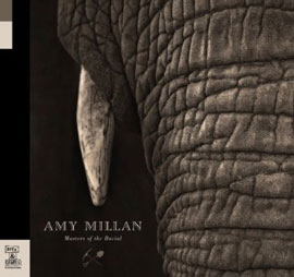 Listen Up: Amy Millan's "I Will Follow You Into the Dark" Cover 