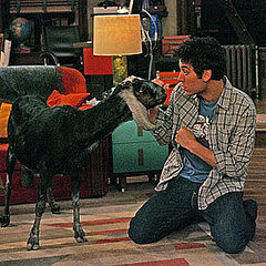 Trivia Quiz on How I Met Your Mother